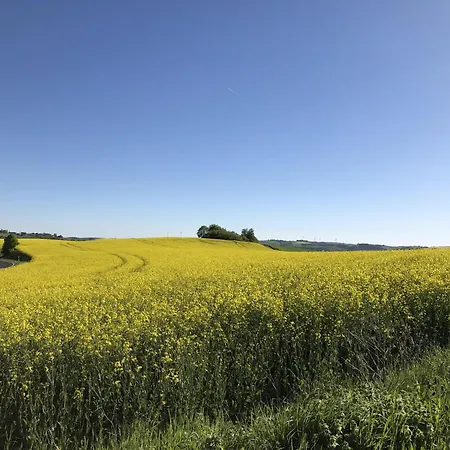 Kohnenhof - *